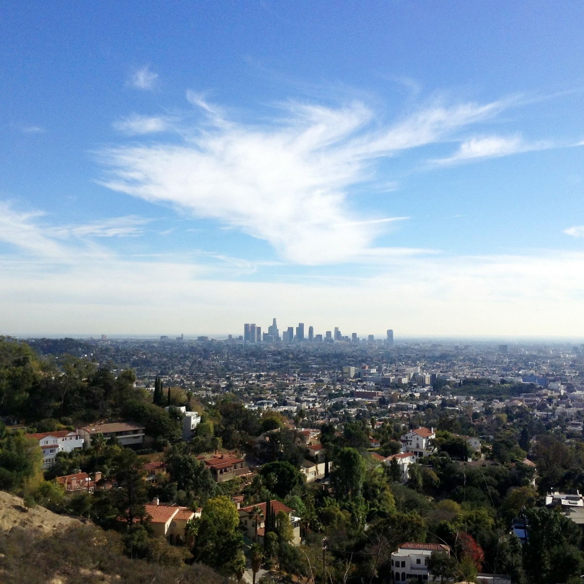 Los Angeles skyline in the distance